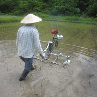 機械除草