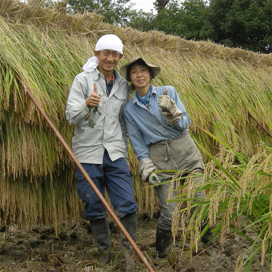 笈川知隆、元枝